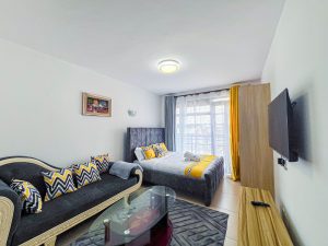 TV area overview in furnished studio apartment in Ruaka at The Moon Serenity